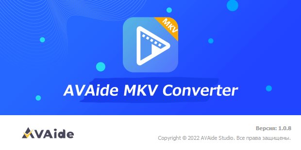 AVAide MKV Converter